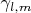 $\gamma_{l,m}$