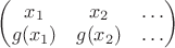 $\left(\begin{matrix}x_{1} & x_{2} & \ldots\\ g(x_{1}) & g(x_{2}) & \ldots \end{matrix}\right)$