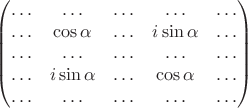$$
\begin{pmatrix}
\ldots & \ldots & \ldots & \ldots & \ldots \\ 
\ldots & \cos \alpha & \ldots & i\sin \alpha & \ldots \\ 
\ldots & \ldots & \ldots & \ldots & \ldots \\ 
\ldots & i\sin \alpha & \ldots & \cos \alpha & \ldots \\ 
\ldots & \ldots & \ldots & \ldots & \ldots
\end{pmatrix} 
$$