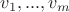 $v_1,...,v_m$