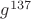 $g^{137}$