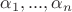 $\alpha_1,..., \alpha_n$
