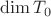 $\operatorname{dim} T_0$