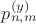 $p_{n,m}^{(y)}$