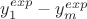 $y_1^{exp} - y_m^{exp}$ $y_1^{exp} - y_m^{exp}$