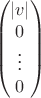 $$\begin{pmatrix}
 |v| \\
 0 \\
 \vdots\\
 0 
\end{pmatrix}$$