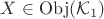 $X\in \mathrm{Obj}(\mathcal{K}_1)$