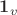 $\boldsymbol 1_v$