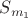 $S_{m_1}$