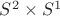 $S^2\times S^1$