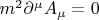 $m^2\partial^\mu A_\mu=0$