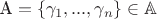 $\text{A}=\{\gamma_1,...,\gamma_n\}\in \mathbb{A}$