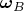 $\boldsymbol\omega_B$