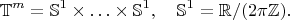 $$\mathbb{T}^m=\mathbb S^1\times\ldots\times \mathbb{S}^1,\quad \mathbb S^1=\mathbb{R}/(2\pi\mathbb{Z}).$$