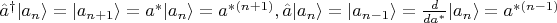 $\hat{a}^\dagger|a_n\rangle=|a_{n+1}\rangle=a^*|a_n\rangle= a^{* (n+1)},  \hat{a}|a_n\rangle=|a_{n-1}\rangle=\frac{d}{da^*}|a_n\rangle= a^{* (n-1)}$