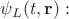 $\psi_L(t, \mathbf{r}):$