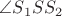 $\angle S_1SS_2$