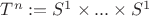 $T^n:= S^1 \times ...\times S^1$
