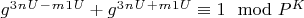 $g^3^n^U^-^m^1^U + g^3^n^U^+^m^1^U\equiv 1\mod P^K$
