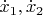 $\dot x_1,\dot x_2$