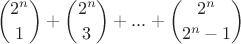 $$\binom{2^n}{1} + \binom{2^n}{3} +...+ \binom{2^n}{2 ^ n - 1} $$