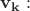 $\mathbf{v_k}:$