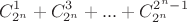 $$C_{2^n}^{1} + C_{2^n}^{3} +...+ C_{2^n}^{2 ^ n - 1} $$