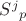 $S^j{}_p$