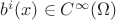 $b^i(x)\in {C^\infty (\Omega)}$