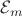$\mathcal{E}_m$
