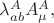 $\lambda^A_{ab}A^A_\mu,$