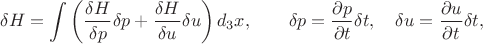 $$
\delta H = \int \left(  \frac{\delta H}{\delta p} \delta p + \frac{\delta H}{\delta u} \delta u \right) d_3 x,
\qquad \delta p = \frac{\partial p}{\partial t} \delta t,
\quad \delta u = \frac{\partial u}{\partial t} \delta t,
$$