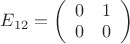 $E_{12} = \left( \begin{array}{ll} 0 & 1 \\ 0 & 0 \end{array} \right)$