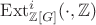 $\mathrm{Ext}^i_{\mathbb Z[G]}(\cdot, \mathbb Z)$