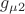 $g_{\mu 2}$