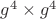 $g^4\times{g^4}$