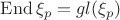 $\operatorname{End}\xi_p=gl(\xi_p)$