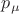 $p_\mu$
