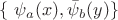 $\{\ \psi_a(x),\bar{\psi}_b(y) \}\ $