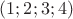 $(1; 2; 3; 4)$