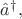 $\hat{a}^\dagger,$
