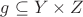 $g \subseteq Y\times Z$