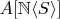 $A[\mathbb{N}\langle S \rangle]$