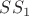 $ SS_1 $