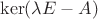 $\operatorname{ker}(\lambda E-A)$