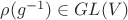 $\rho(g^{-1})\in GL(V)$