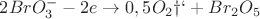 $2BrO_3^- - 2e \rightarrow 0,5O_2 &uarr; + Br_2O_5$
