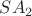 $SA_2$