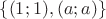 $\{(1;1),(a;a)\}$
