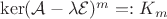 $\operatorname{ker}(\mathcal A-\lambda\mathcal E)^m=:K_m$